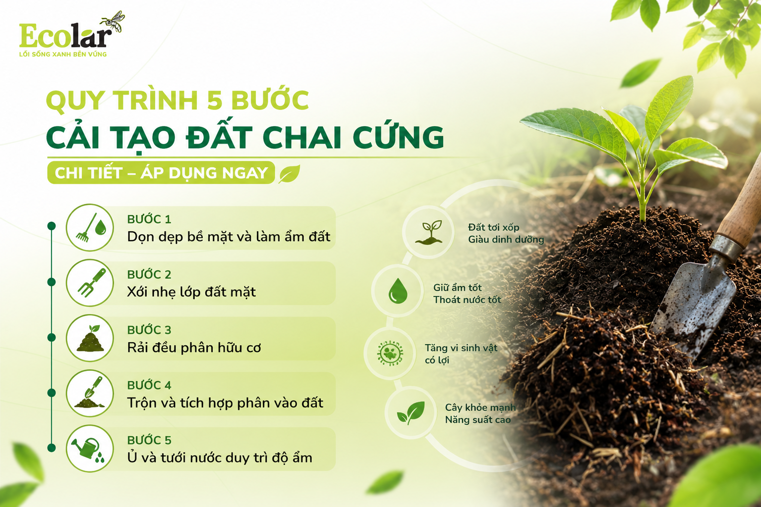 Quy Trình 5 Bước Cải Tạo Đất Chai Cứng Chi Tiết (Áp Dụng Ngay)