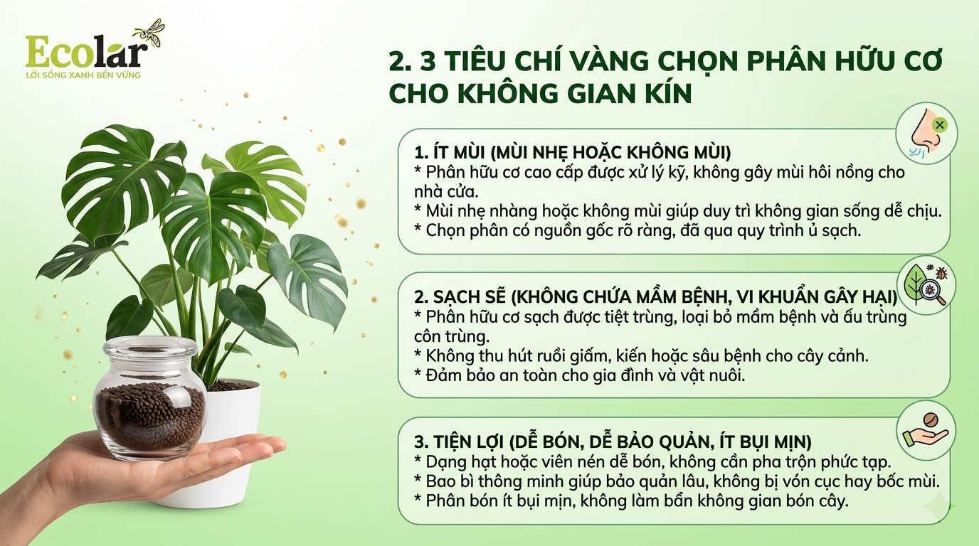 3 Tiêu Chí Vàng Chọn Phân Hữu Cơ Cho Không Gian Kín: Ít Mùi - Sạch - Tiện Lợi