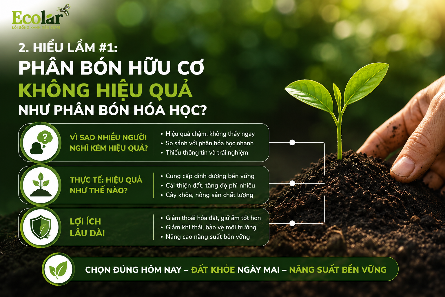 Hiểu Lầm #1: Phân Bón Hữu Cơ Không Hiệu Quả Như Phân Bón Hóa Học
