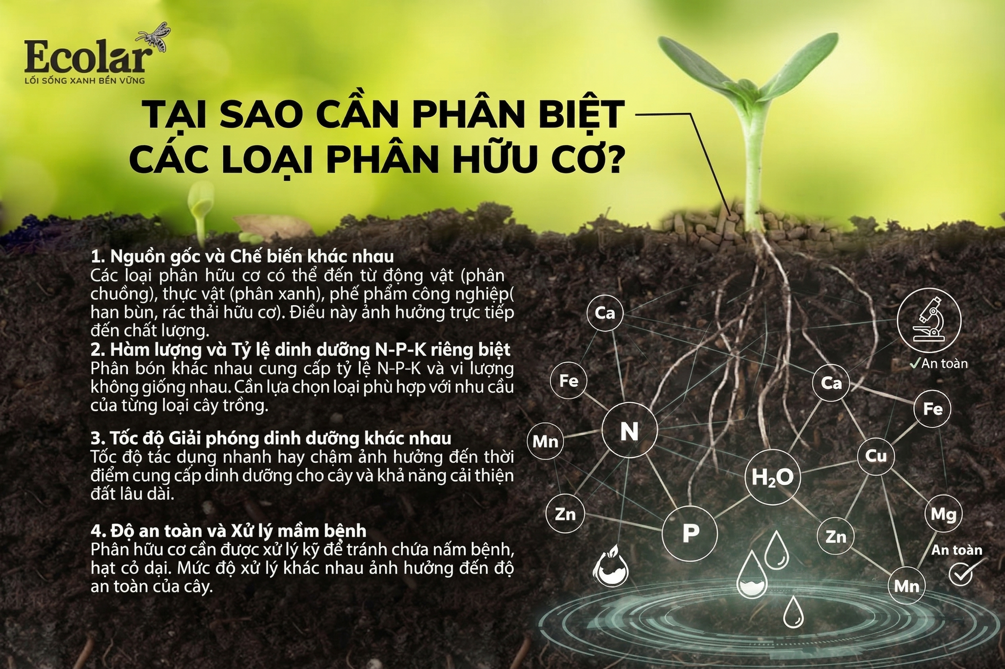 Tại Sao Cần Phân Biệt Các Loại Phân Hữu Cơ? Không Phải Loại Nào Cũng Giống Nhau