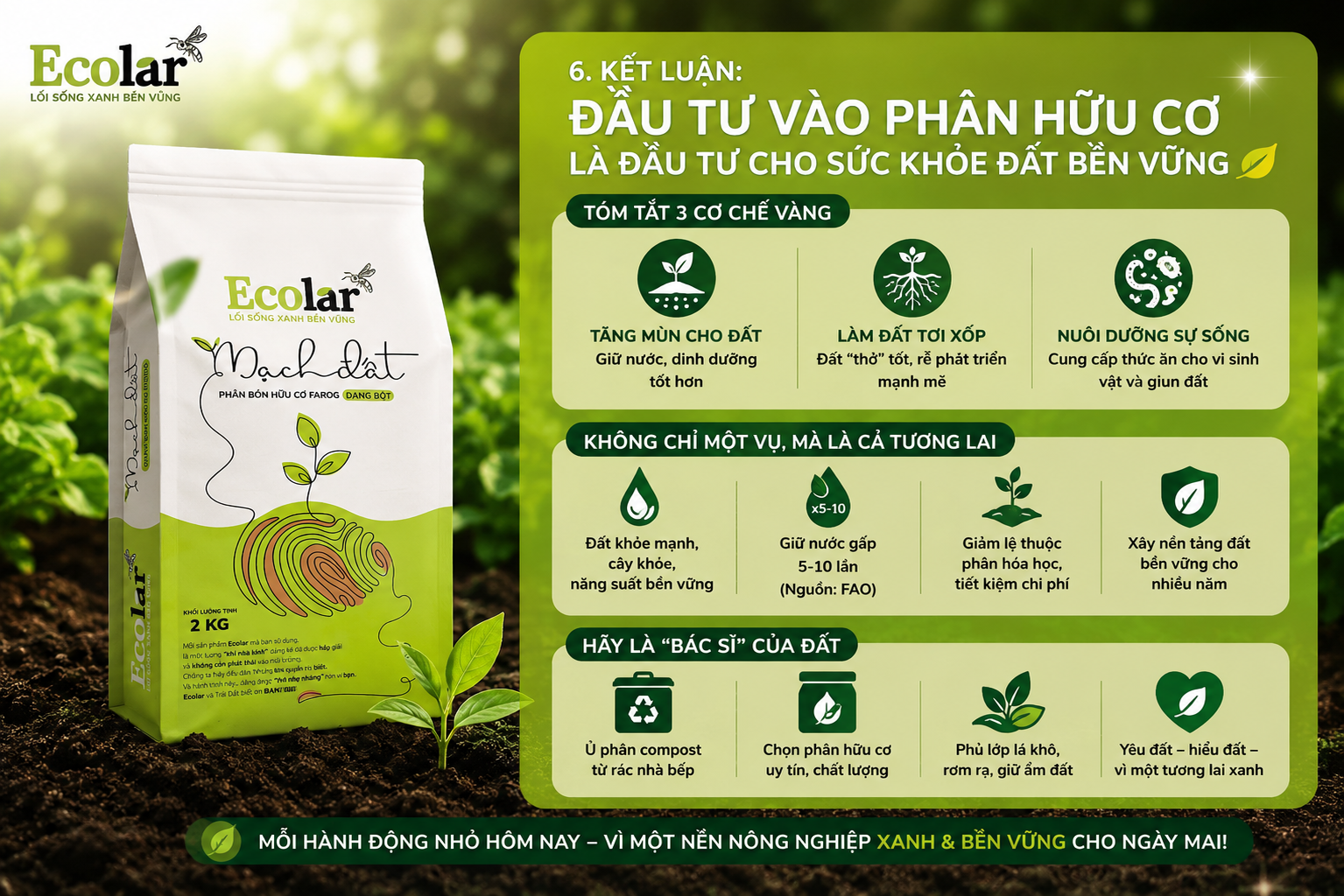 Kết Luận: Đầu Tư Vào Phân Hữu Cơ Là Đầu Tư Cho Sức Khỏe Đất Bền Vững