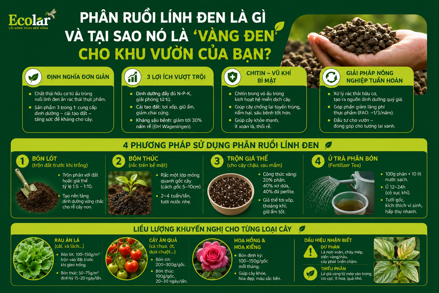 Phân Ruồi Lính Đen Là Gì và Tại Sao Nó Là 'Vàng Đen' Cho Khu Vườn Của Bạn?