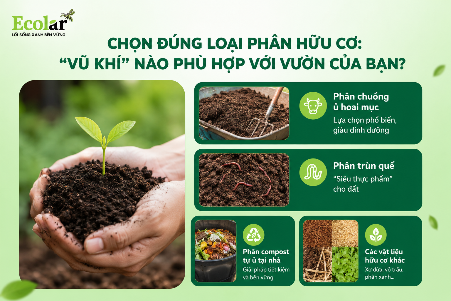 Chọn Đúng Loại Phân Hữu Cơ: 'Vũ Khí' Nào Phù Hợp Với Vườn Của Bạn?