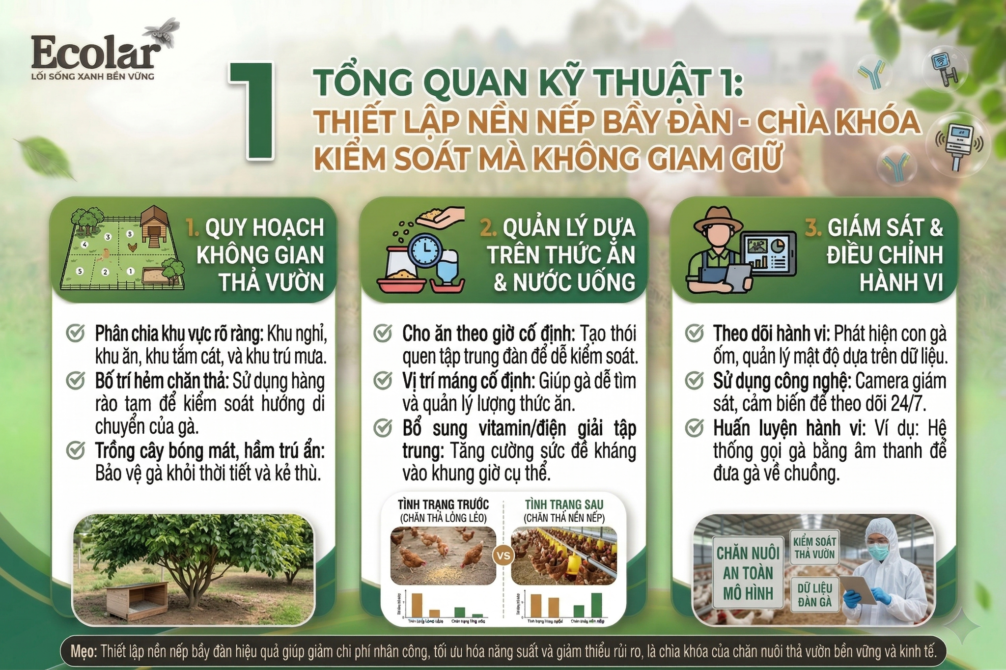 Thiết Lập Nền Nếp Bầy Đàn - Chìa Khóa Để Kiểm Soát Mà Không Cần Giam Giữ