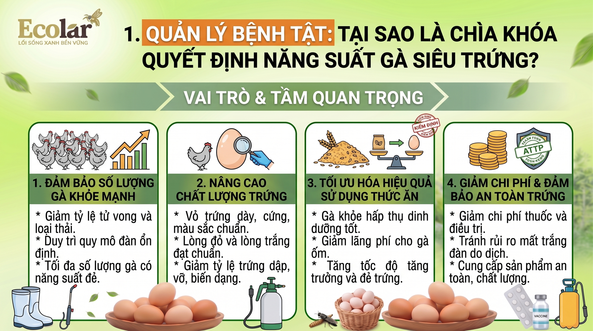 Tại Sao Quản Lý Bệnh Tật Là Chìa Khóa Quyết Định Năng Suất Gà Siêu Trứng?