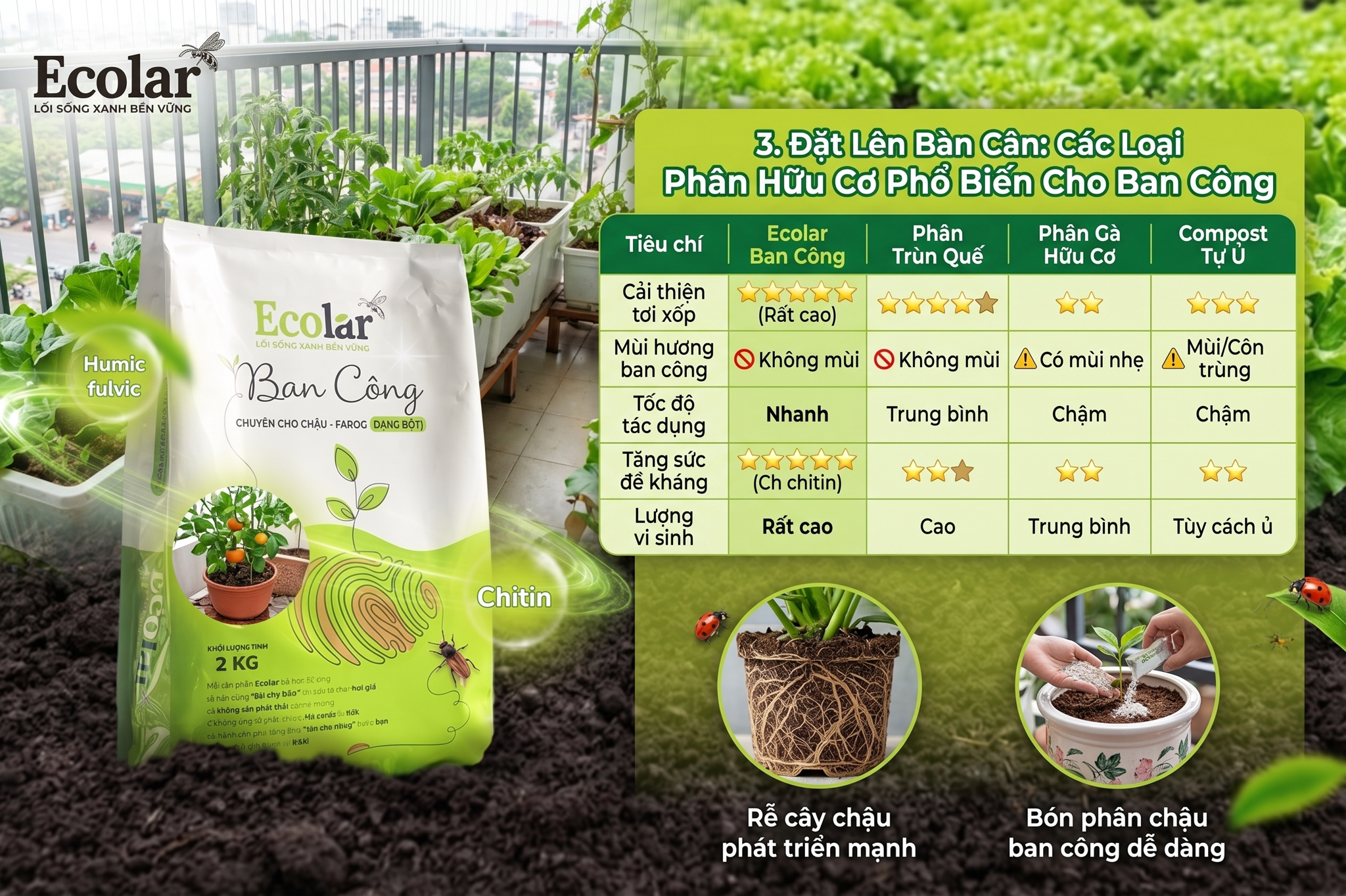 oai-phan-huu-co-pho-bien-cho-ban-cong_2d3d8eaf41754e7d85f7b5329a1d8186.png