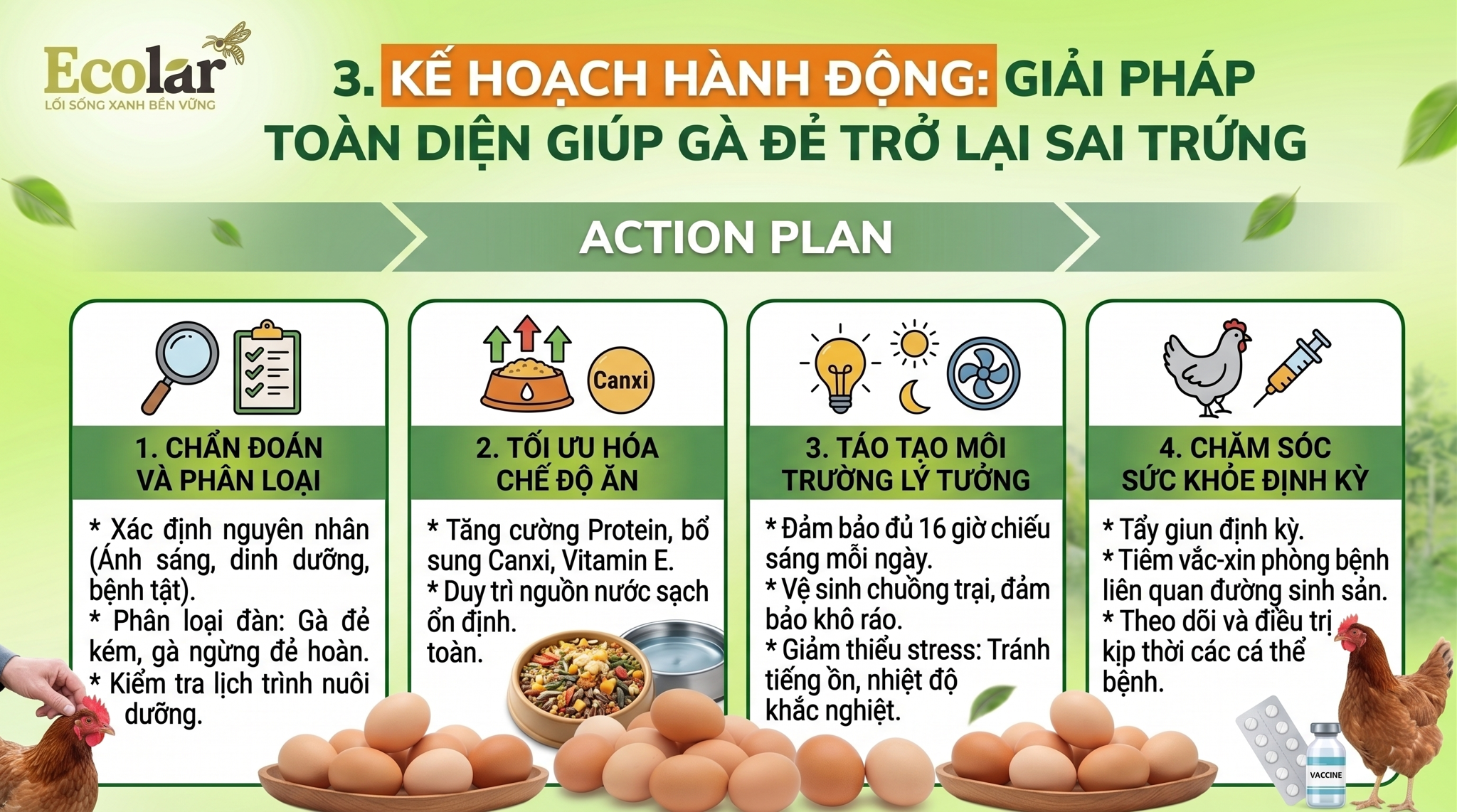 Giải Pháp Toàn Diện Giúp Gà Đẻ Trở Lại Sai Trứng