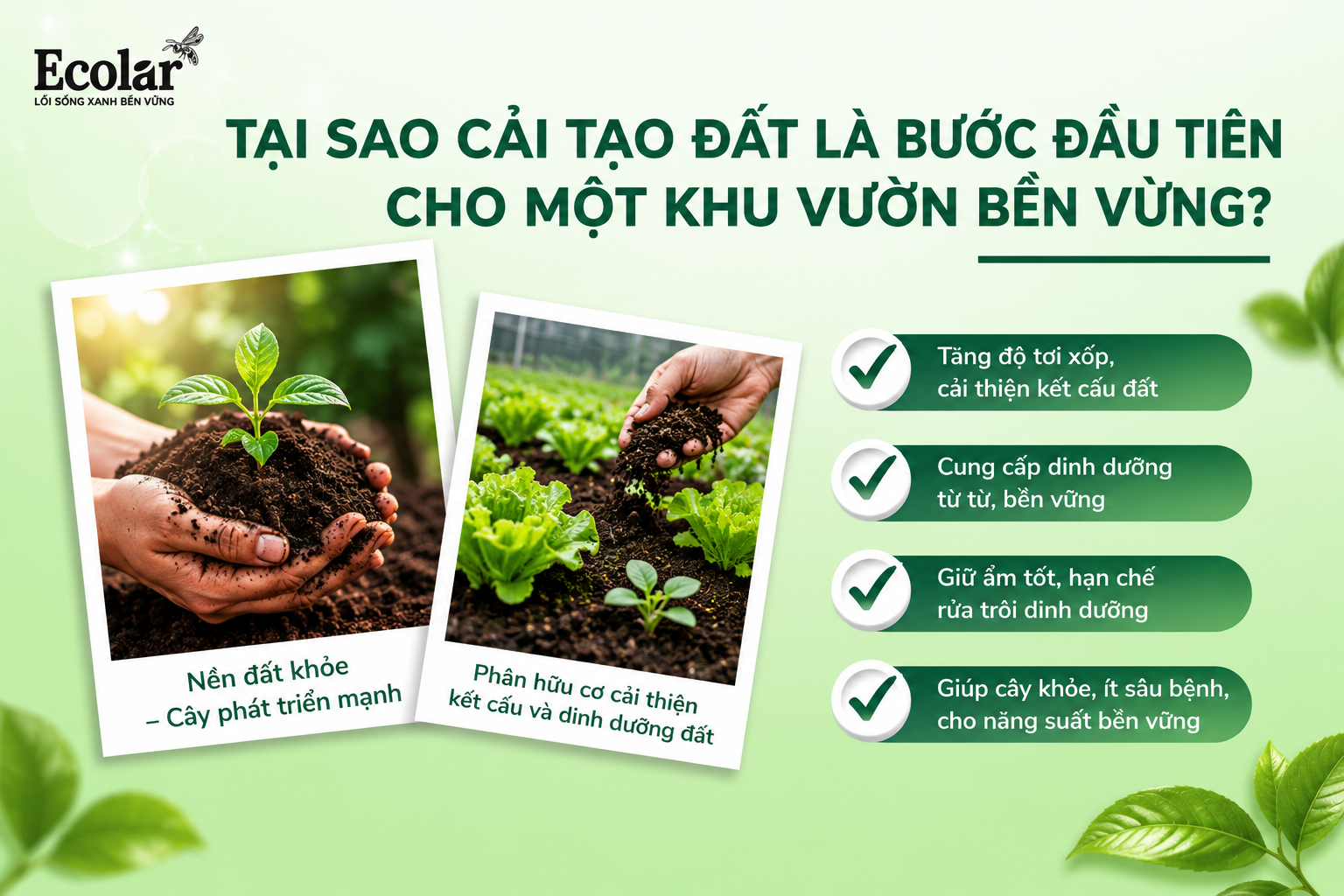 Tại Sao Cải Tạo Đất Là Bước Đầu Tiên Cho Một Khu Vườn Bền Vững?