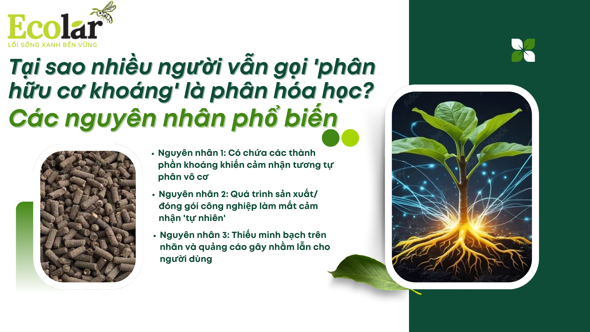 5-tai-sao-nhieu-nguoi-van-goi-phan-huu-co-khoang-la-phan-hoa-hoc