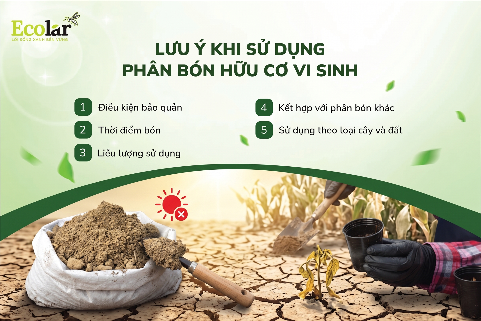 Sai thời điểm - Bón khi đất quá khô hoặc trời nắng gắt