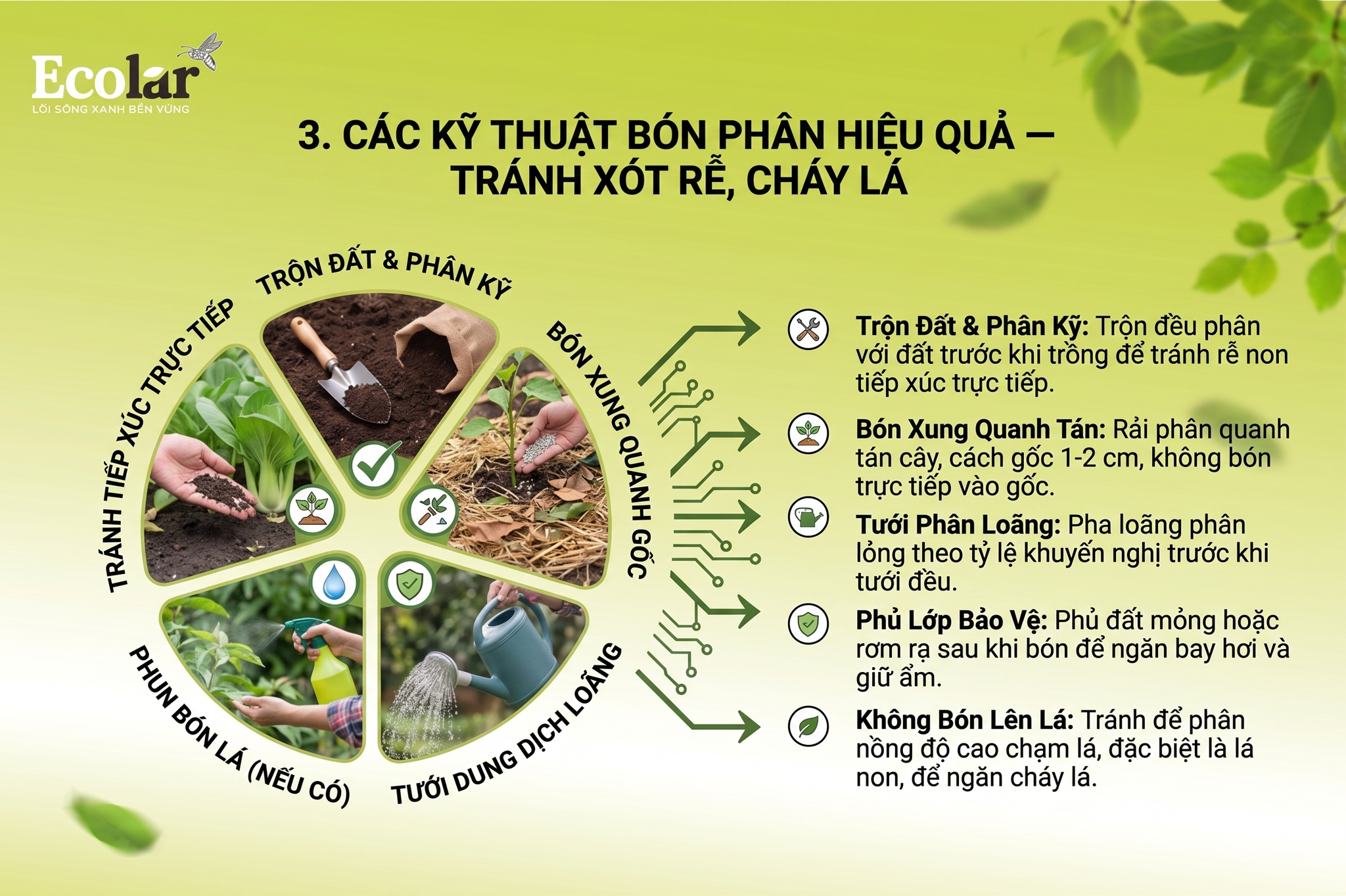 Các Kỹ Thuật Bón Phân Hiệu Quả (Tránh Xót Rễ, Cháy Lá)