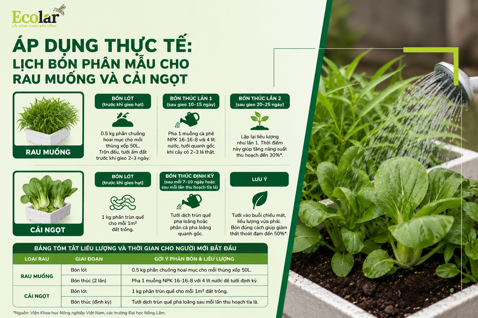 Áp Dụng Thực Tế: Lịch Bón Phân Mẫu Cho Rau Muống và Cải Ngọt