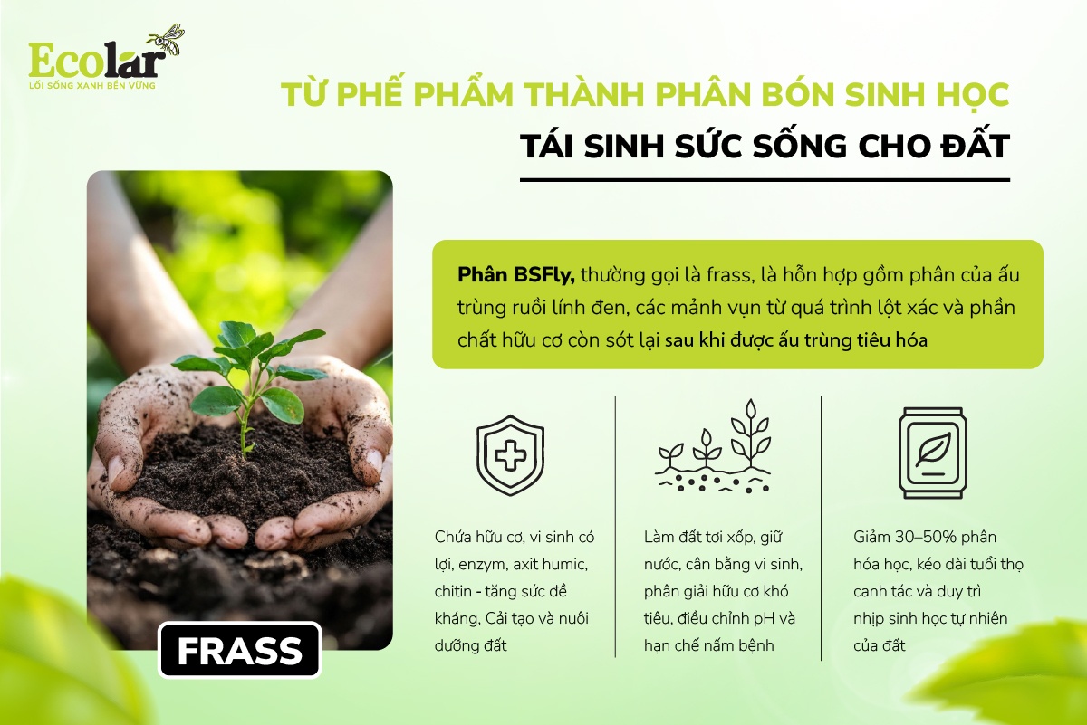 Từ phế phẩm thành phân bón sinh học – Tái sinh sức sống cho đất