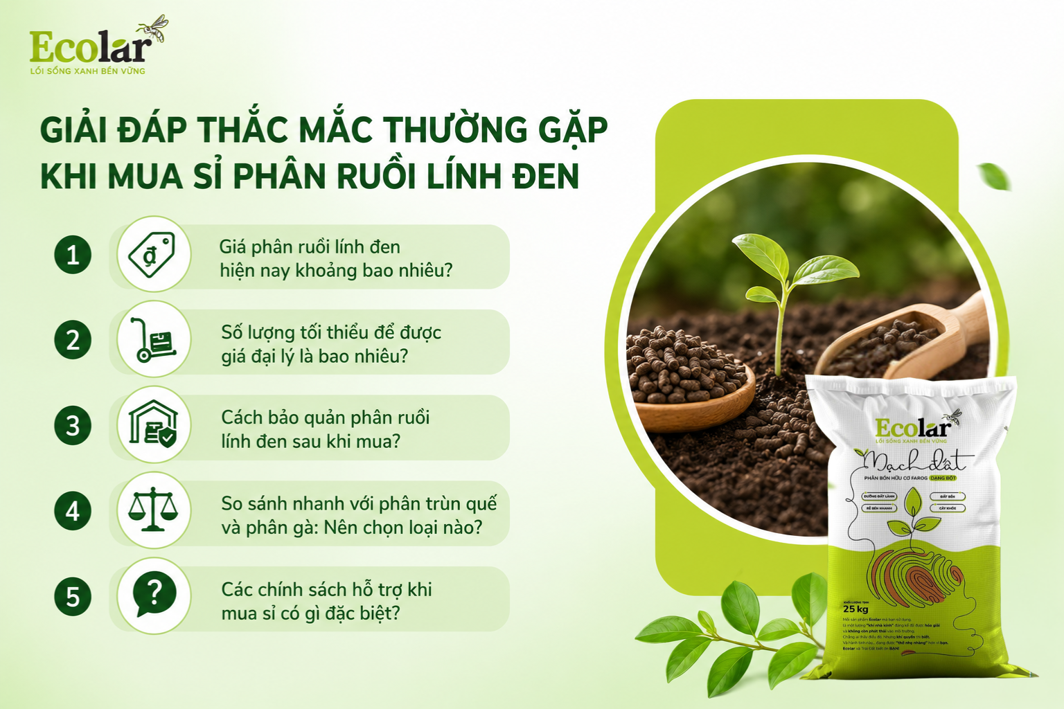 Giải Đáp Thắc Mắc Thường Gặp Khi Mua Sỉ Phân Ruồi Lính Đen