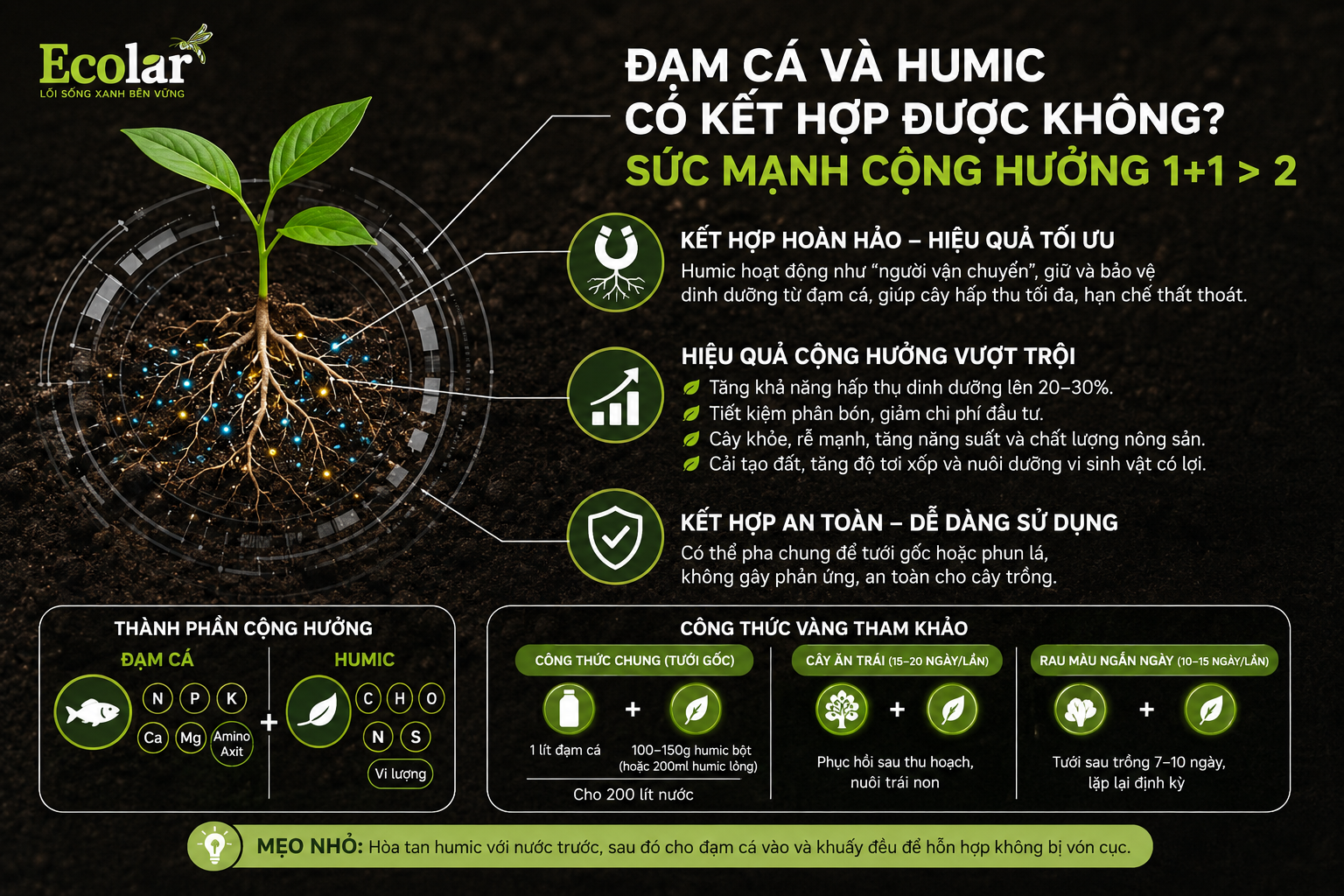 Đạm Cá và Humic Có Kết Hợp Được Không? Sức Mạnh Cộng Hưởng 1+1 > 2