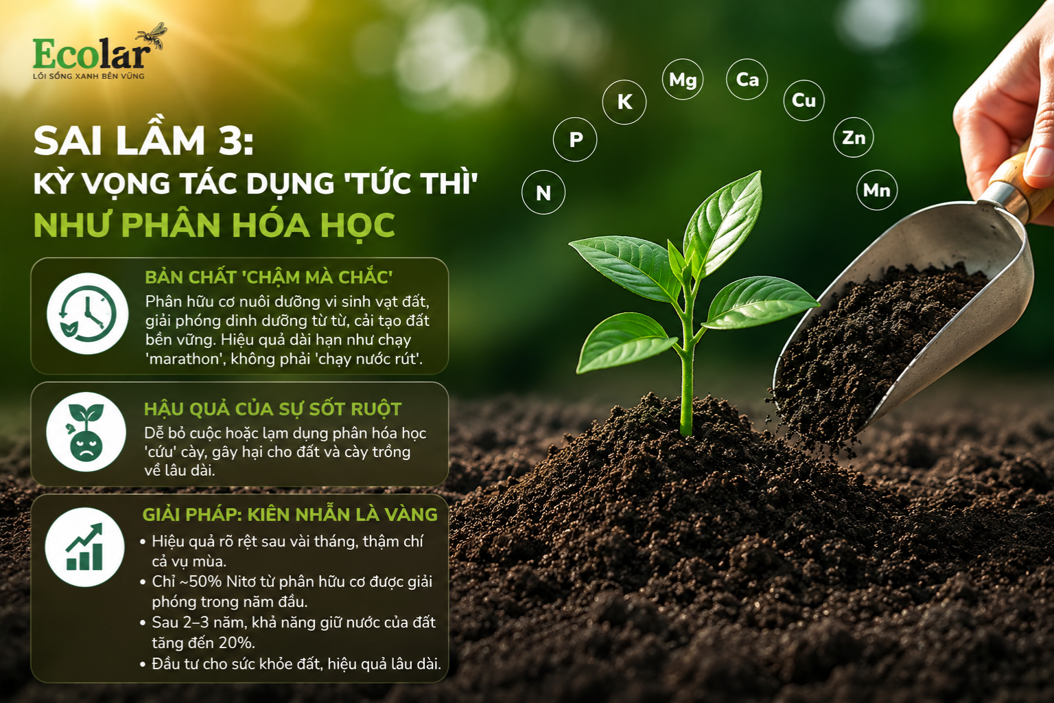 Sai lầm 3: Kỳ Vọng Tác Dụng 'Tức Thì' Như Phân Hóa Học