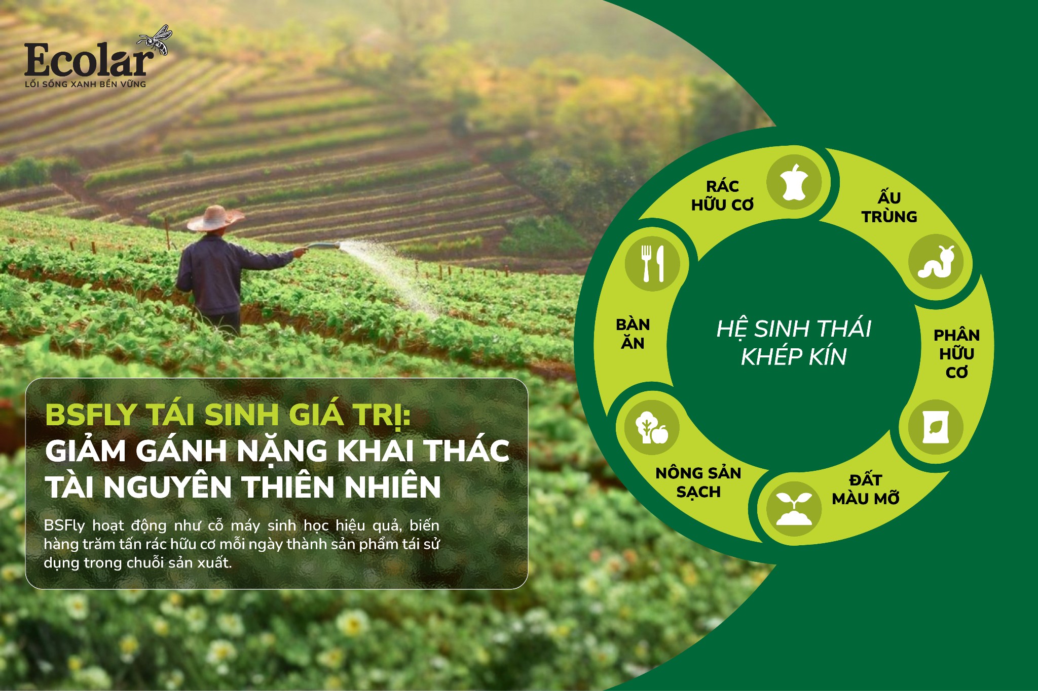 BSFly – Giải pháp sinh học giúp đóng vòng tuần hoàn tiêu dùng – sản xuất