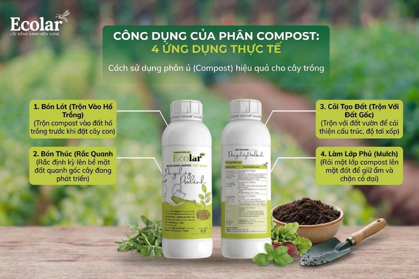 4 Ứng Dụng Thực Tế Trong Làm Vườn