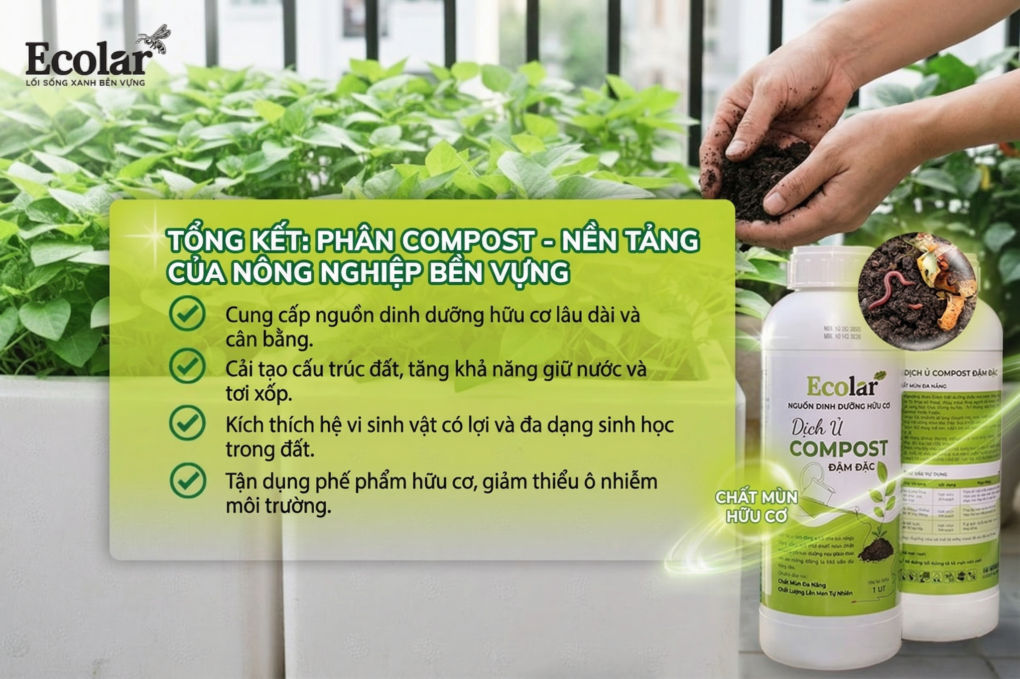 Phân Compost - Nền Tảng Của Nông Nghiệp Bền Vững