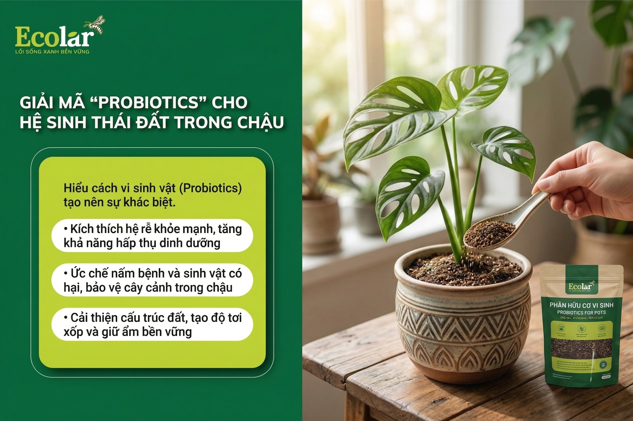 'Probiotics' Cho Hệ Sinh Thái Đất Trong Chậu