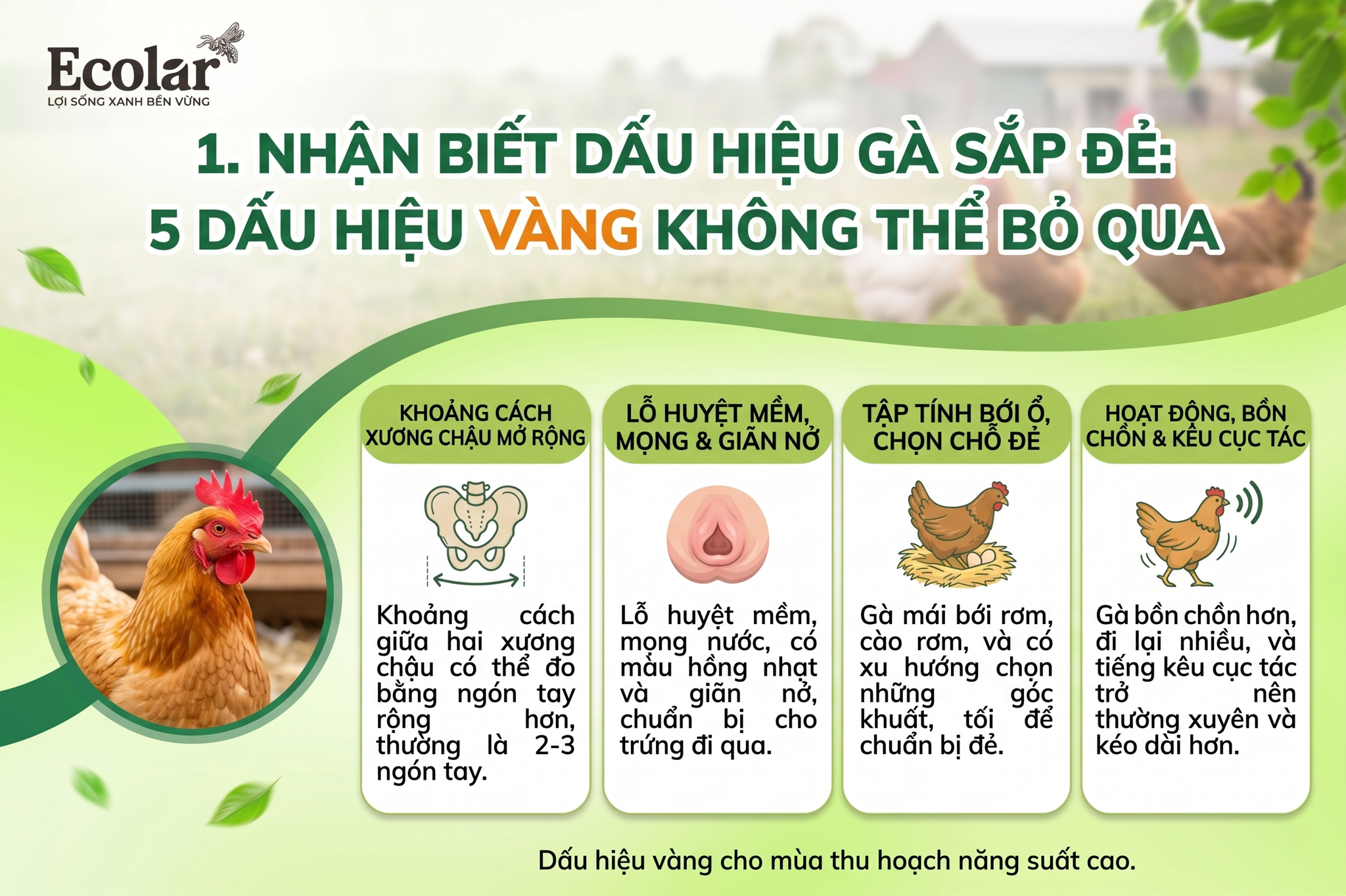 5 Dấu Hiệu Vàng Không Thể Bỏ Qua