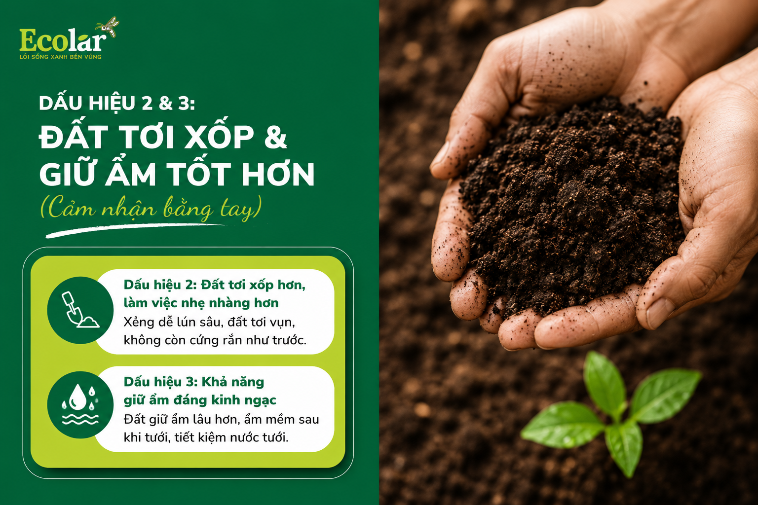 Dấu Hiệu 2 & 3: Đất Tơi Xốp & Giữ Ẩm Tốt Hơn (Cảm nhận bằng tay)