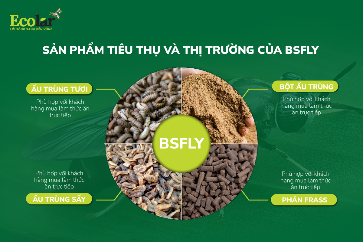 Sản phẩm tiêu thụ và thị trường của BSFly
