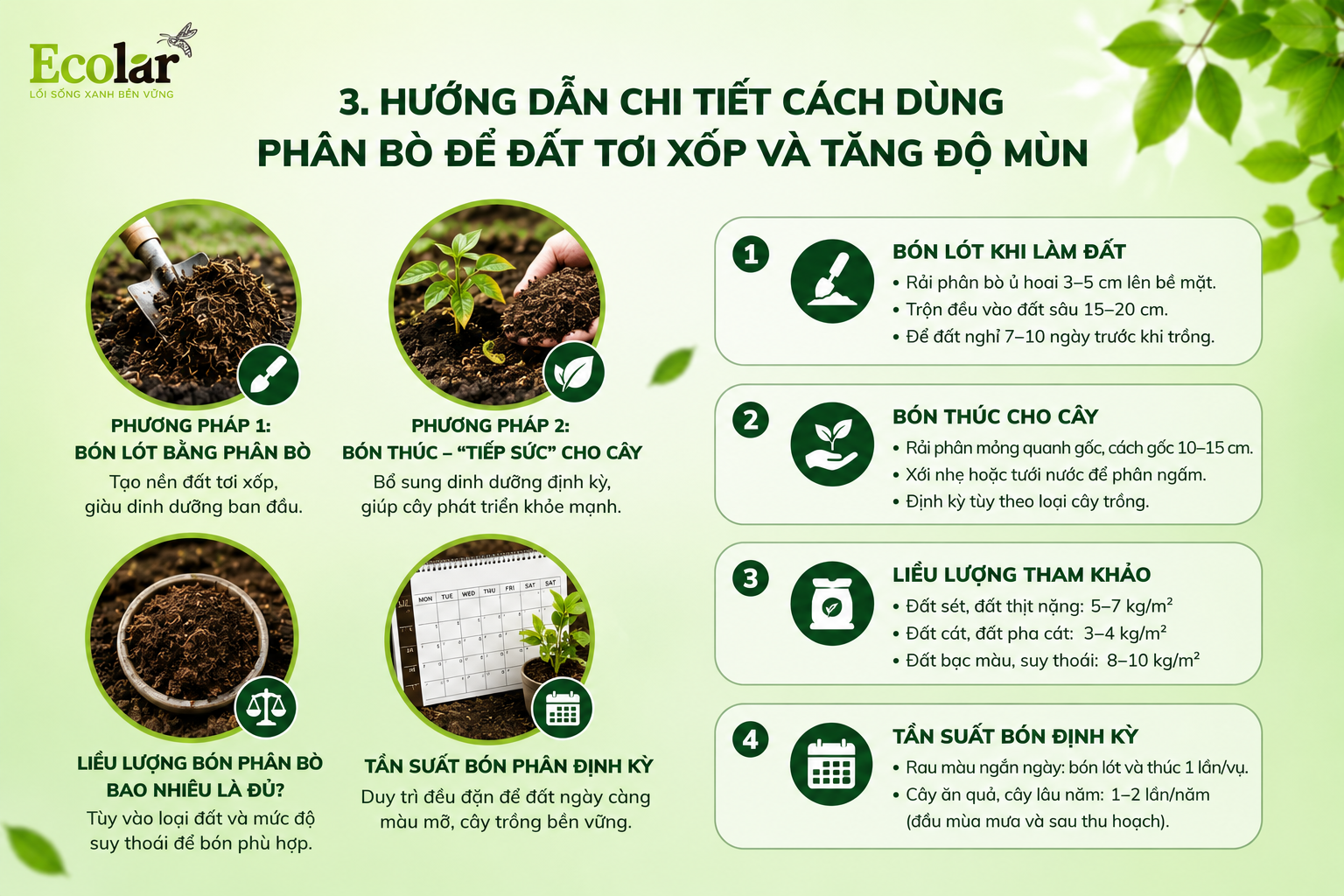 Hướng Dẫn Chi Tiết Cách Dùng Phân Bò Để Đất Tơi Xốp Và Tăng Độ Mùn