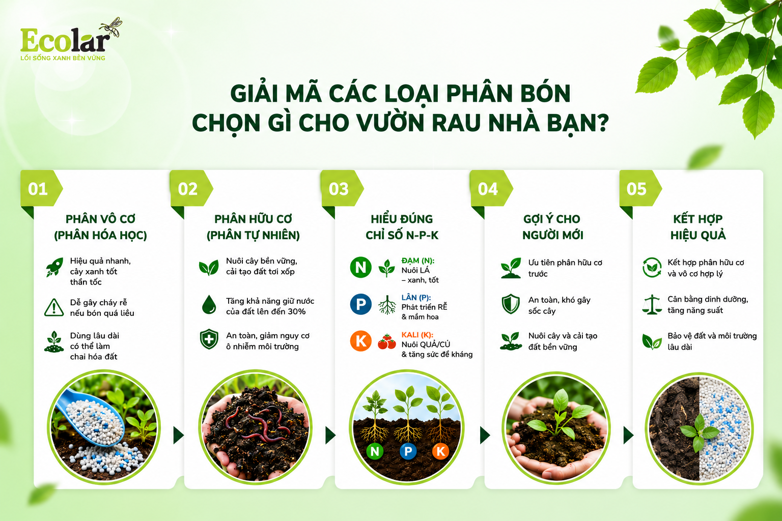 Giải Mã Các Loại Phân Bón: Chọn Gì Cho Vườn Rau Nhà Bạn?
