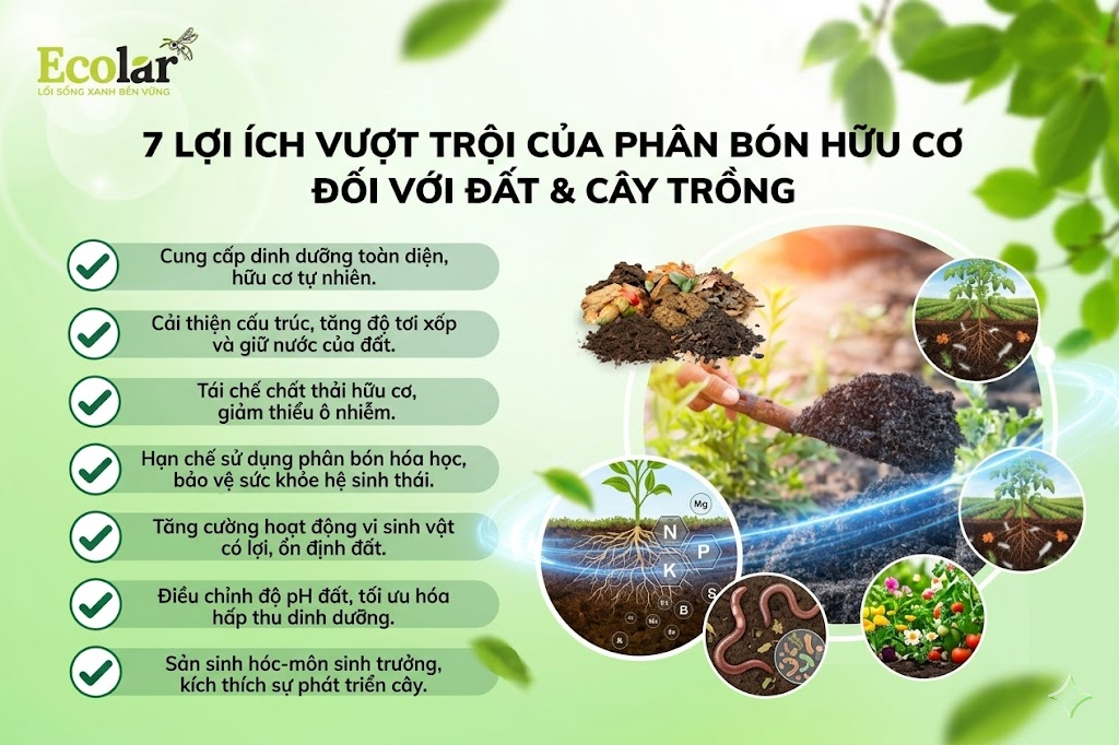 7 Lợi Ích Vượt Trội Của Phân Bón Hữu Cơ Đối Với Đất & Cây Trồng
