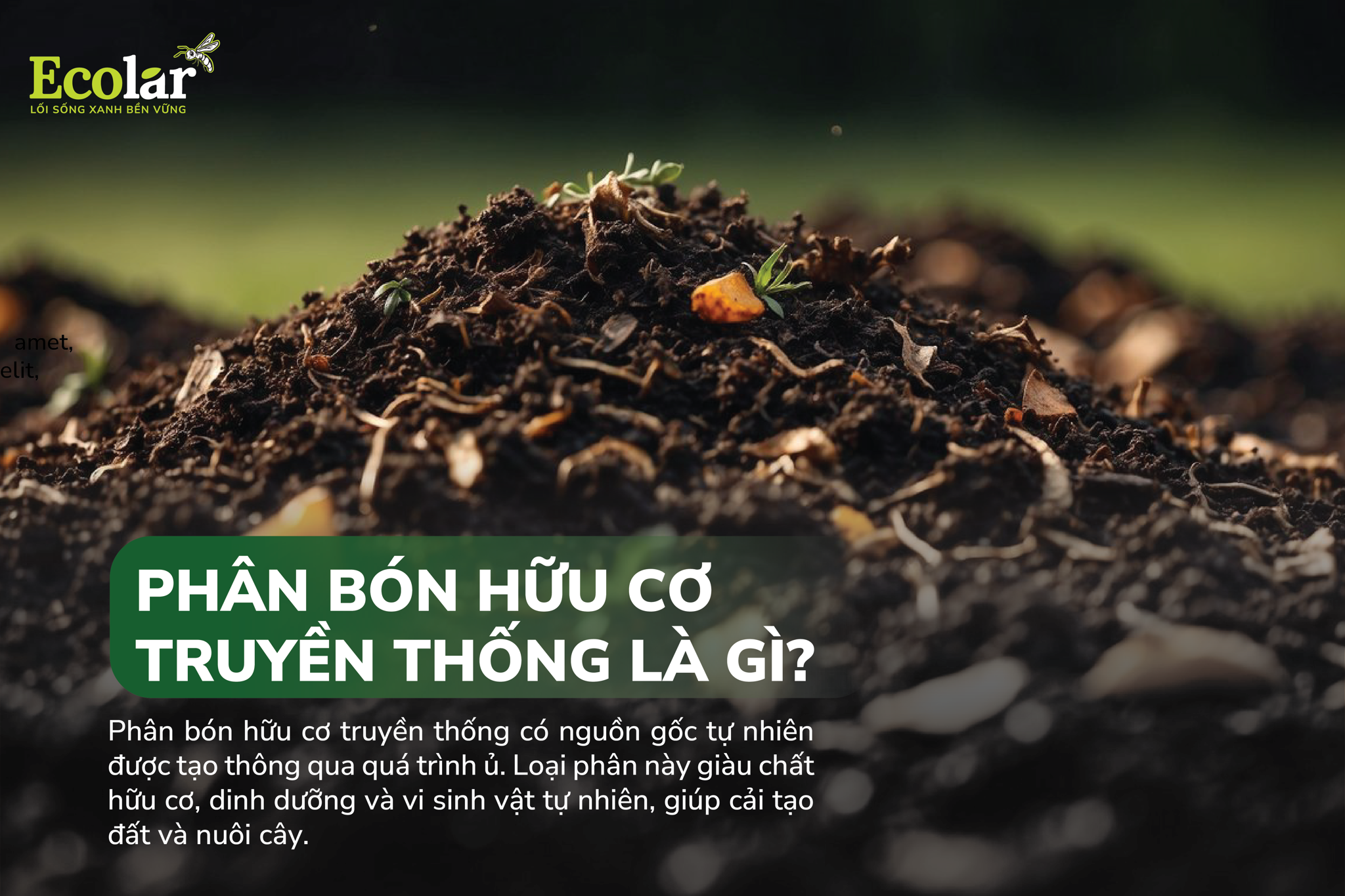 phan-bon-huu-co-truyen-thong-la-gi_1eb3e4f71f31438caec97b9fa3cfe60c.png