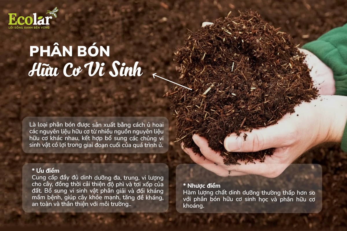Tổng quan về phân bón hữu cơ vi sinh