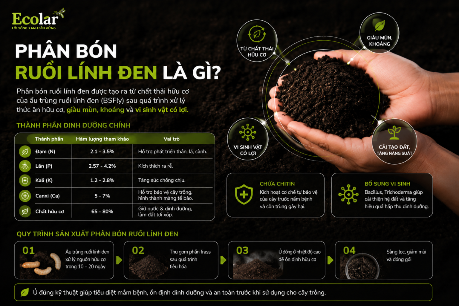 Phân bón ruồi lính đen là gì?