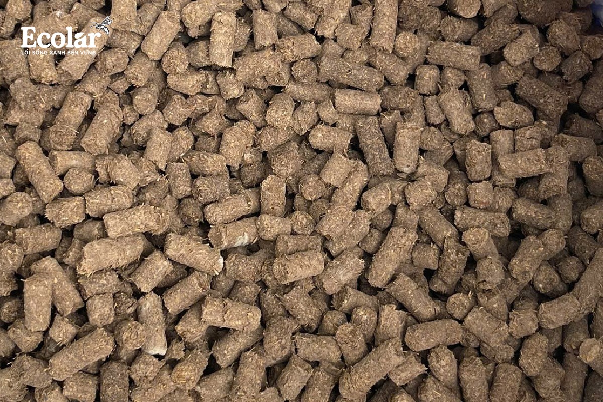 Phân BSFly – Giải pháp sinh học thế hệ mới