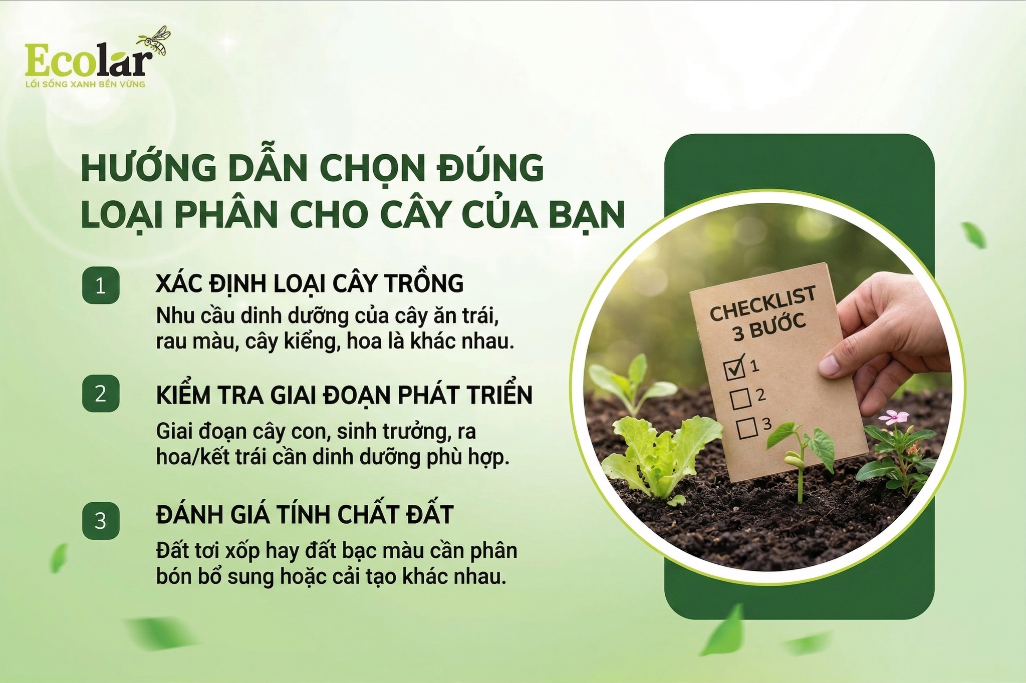 Hướng Dẫn Chọn Đúng Loại Phân Cho Cây Của Bạn