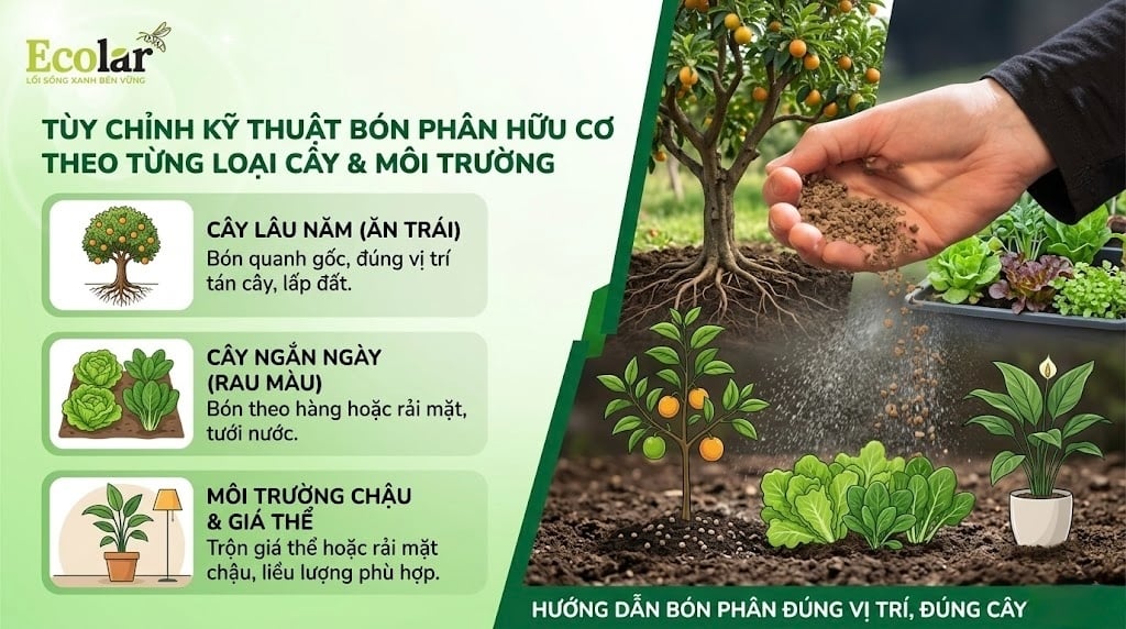 Tùy Chỉnh Kỹ Thuật Bón Phân Cho Từng Loại Cây & Môi Trường
