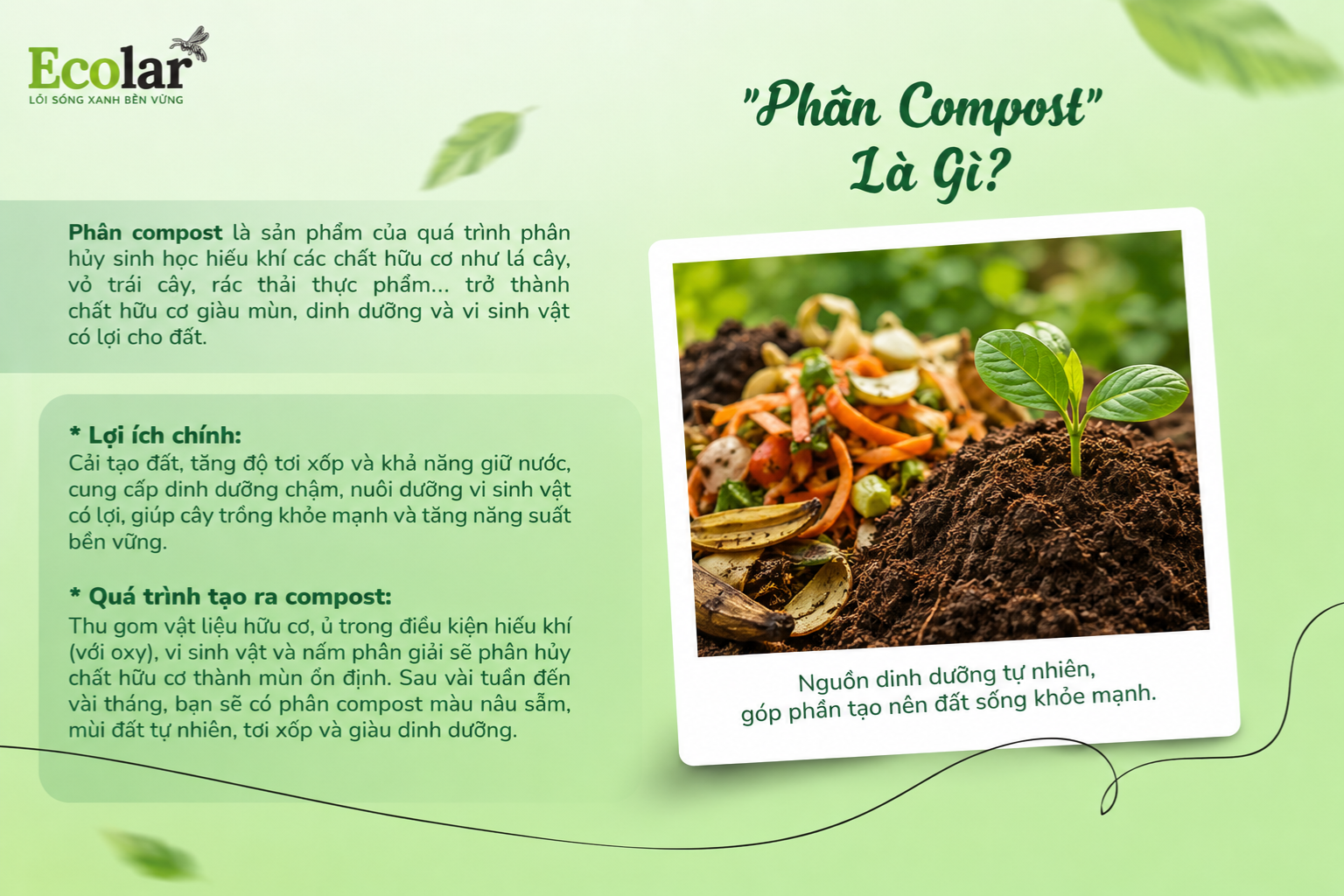Phân Compost là gì?