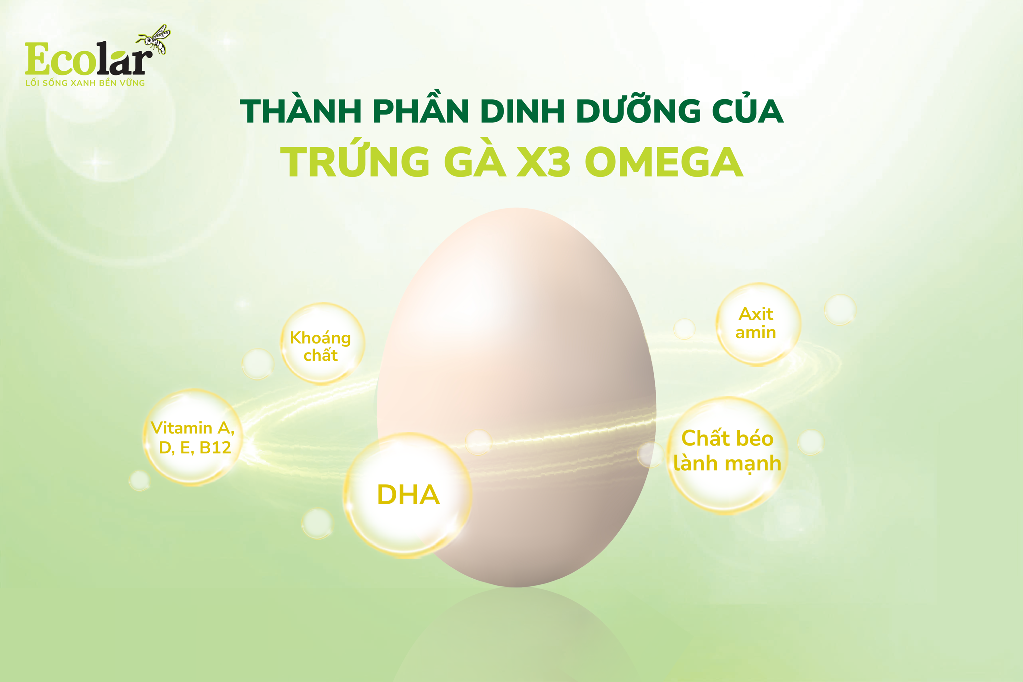 thành phần dinh dưỡng của trứng gà