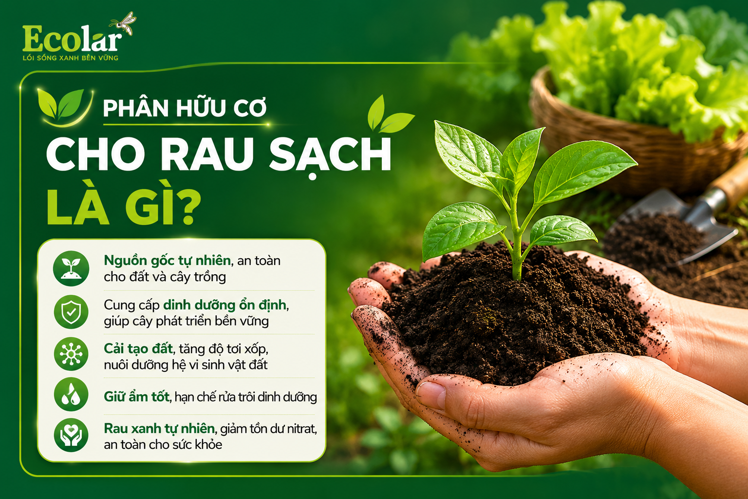 Phân hữu cơ cho rau sạch là gì?
