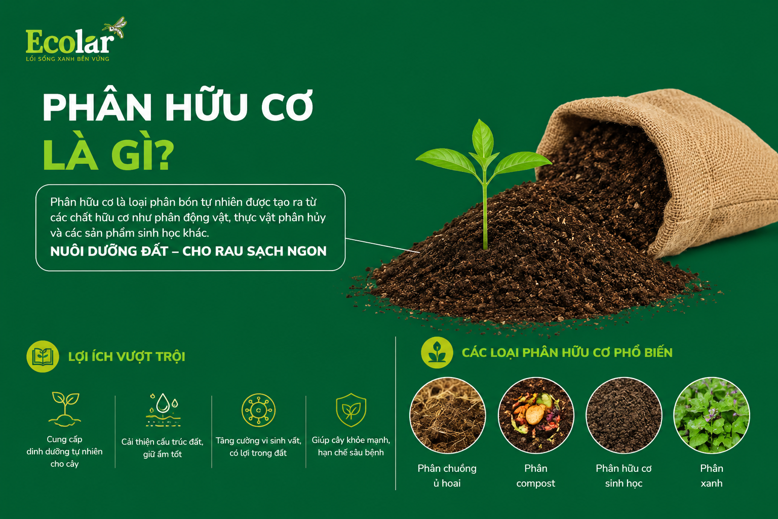 Phân Hữu Cơ Là Gì?