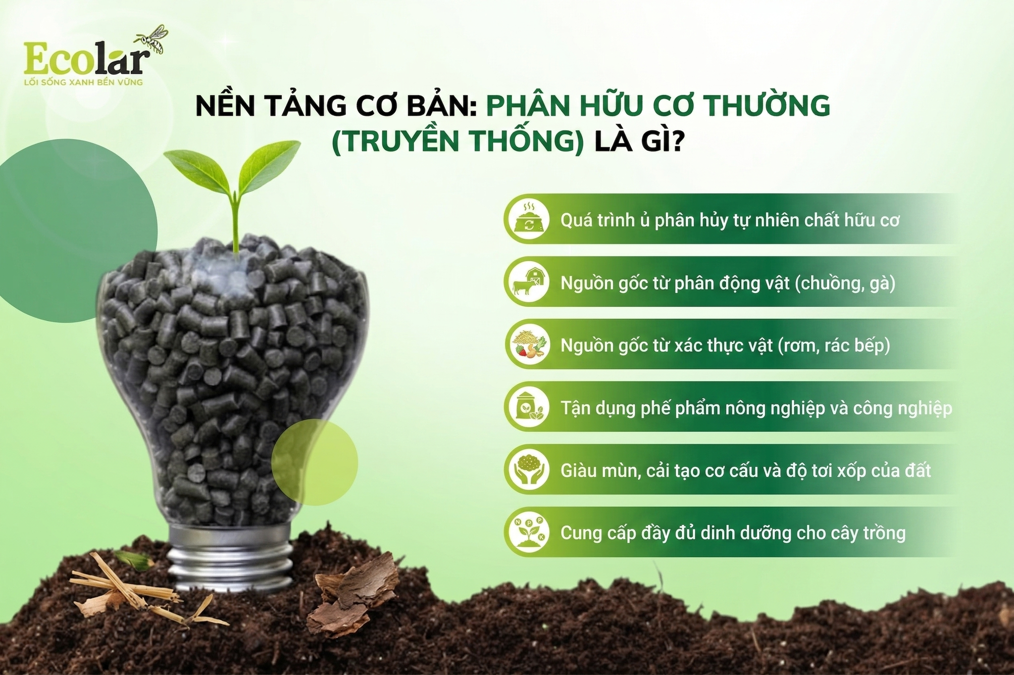 Phân Hữu Cơ Thường (Truyền Thống) Là Gì?
