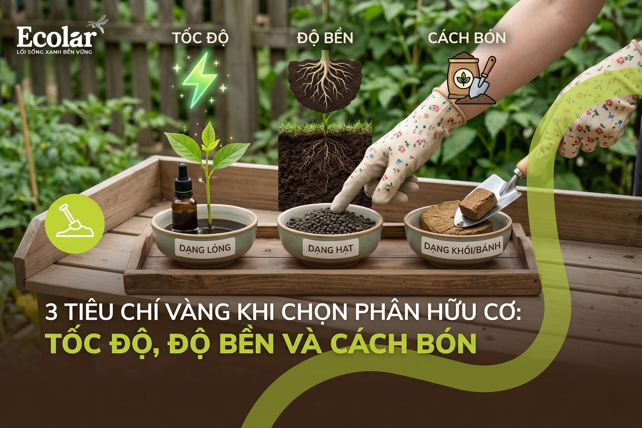 3 Tiêu Chí Vàng Khi Chọn Phân Hữu Cơ: Tốc Độ, Độ Bền và Cách Bón