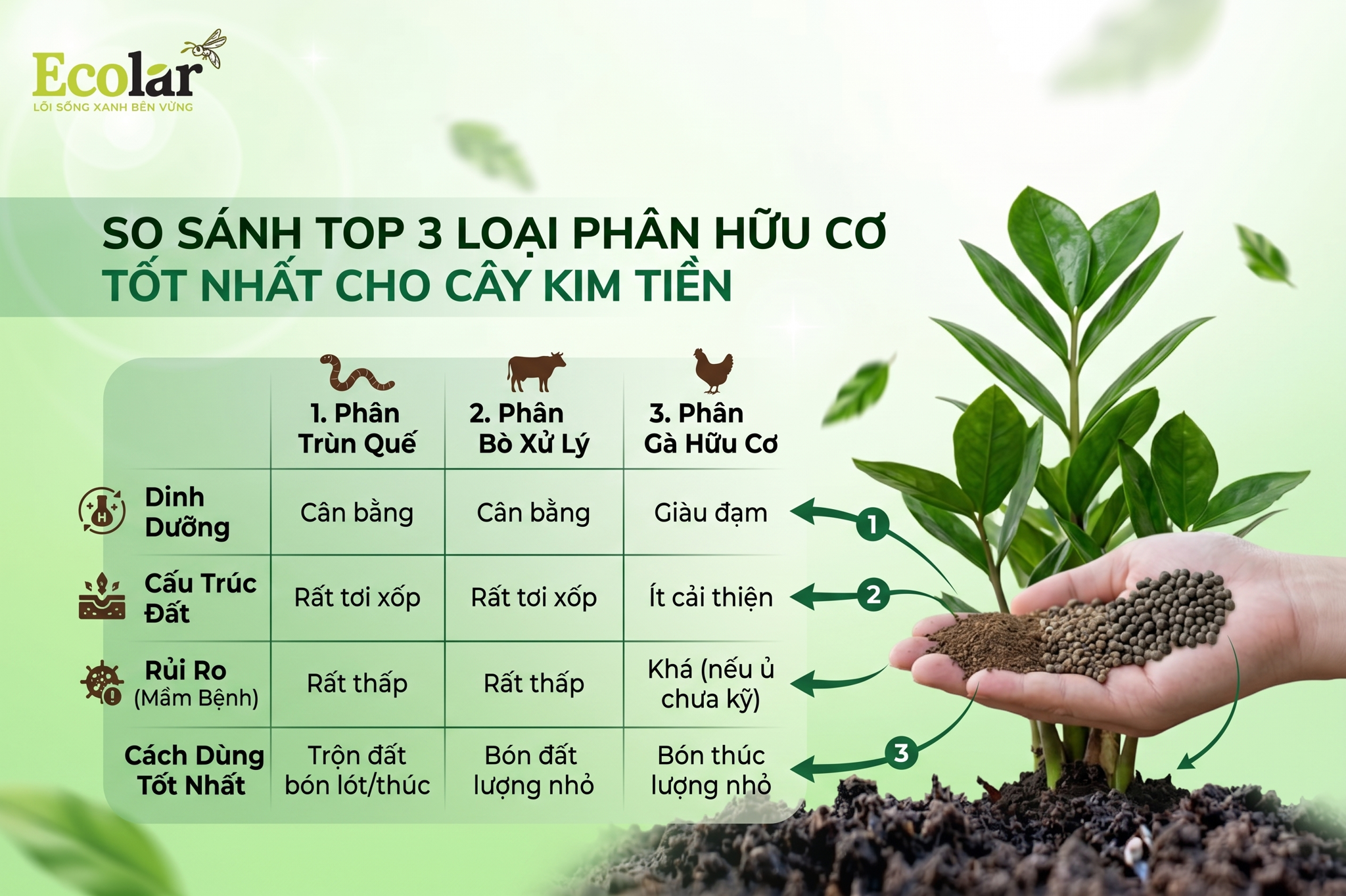 So Sánh Top 3 Loại Phân Hữu Cơ Tốt Nhất Cho Cây Kim Tiền