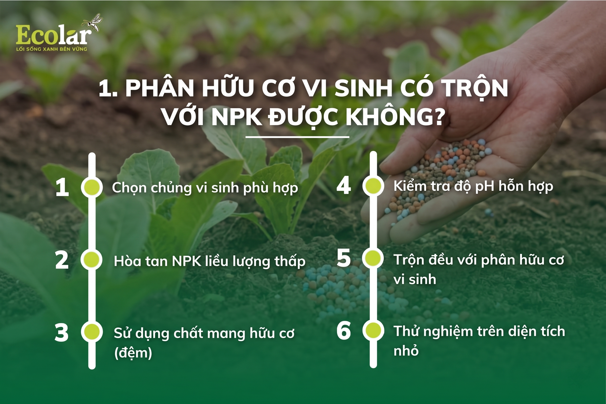 Phân Hữu Cơ Vi Sinh Có Trộn Với NPK Được Không?