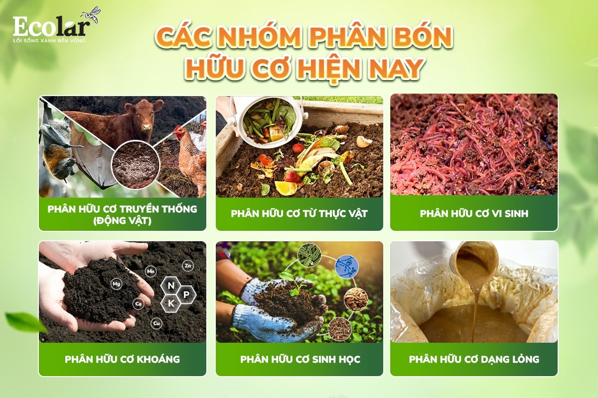 các loại phân bón hữu cơ