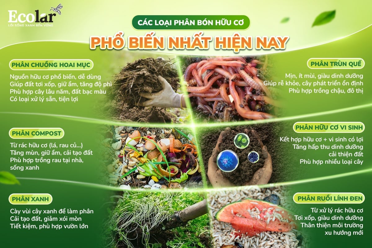 các loại phân bón hữu cơ phổ biến hiện nay