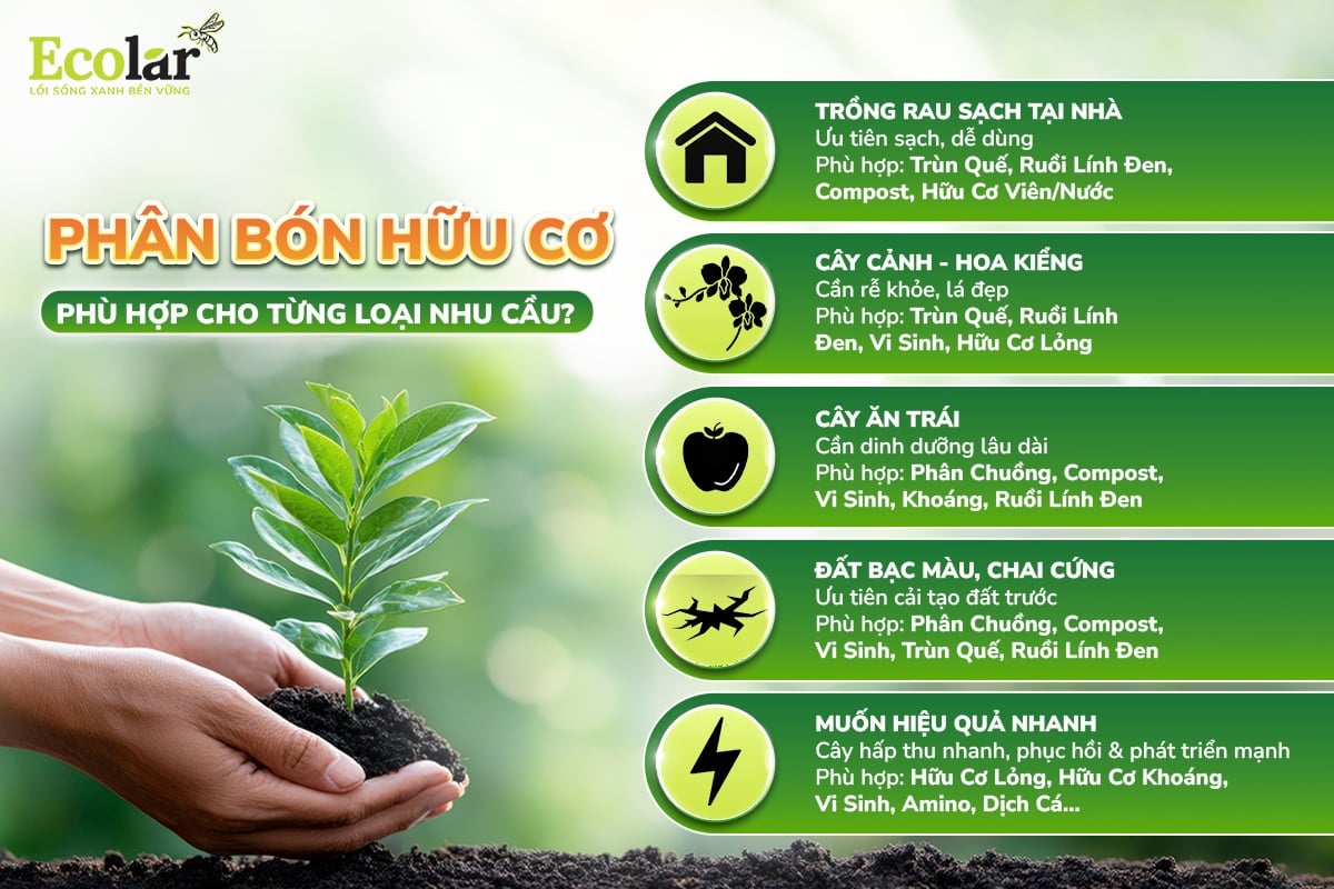 các loại phân bón hữu cơ phù hợp từng nhu cầu