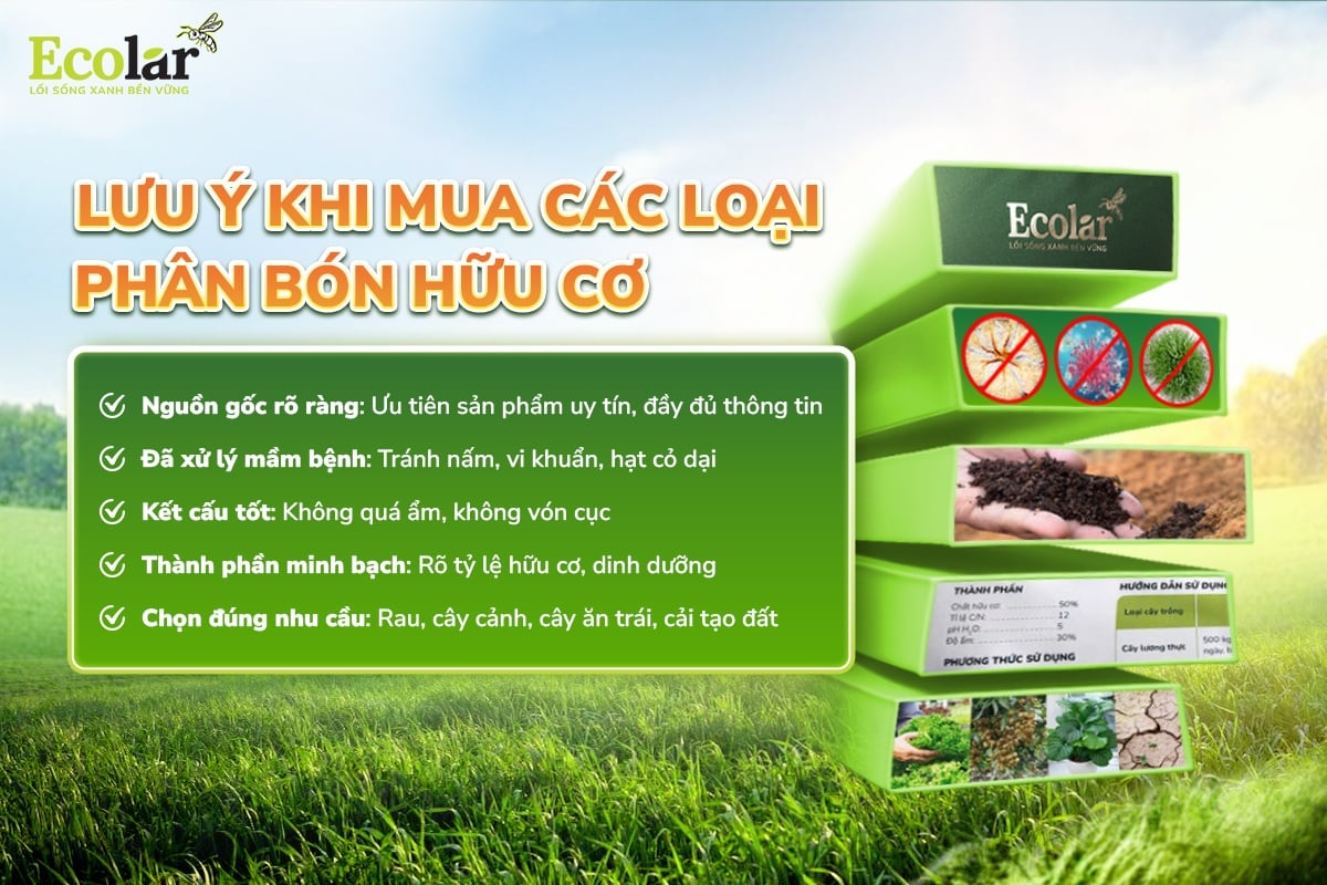lưu ý khi dùng các loại phân bón hữu cơ
