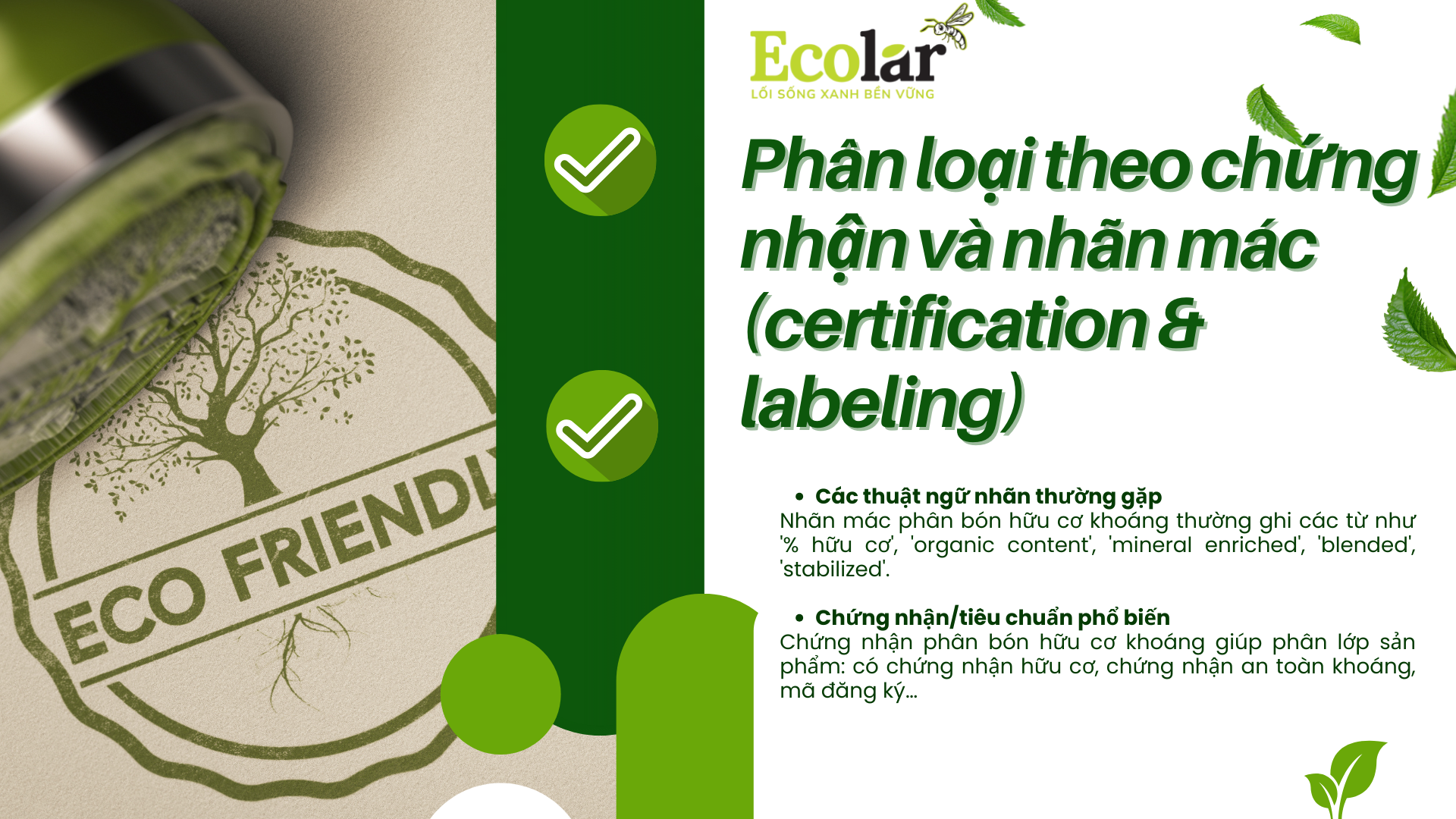 phân loại theo chứng nhận và nhãn mác