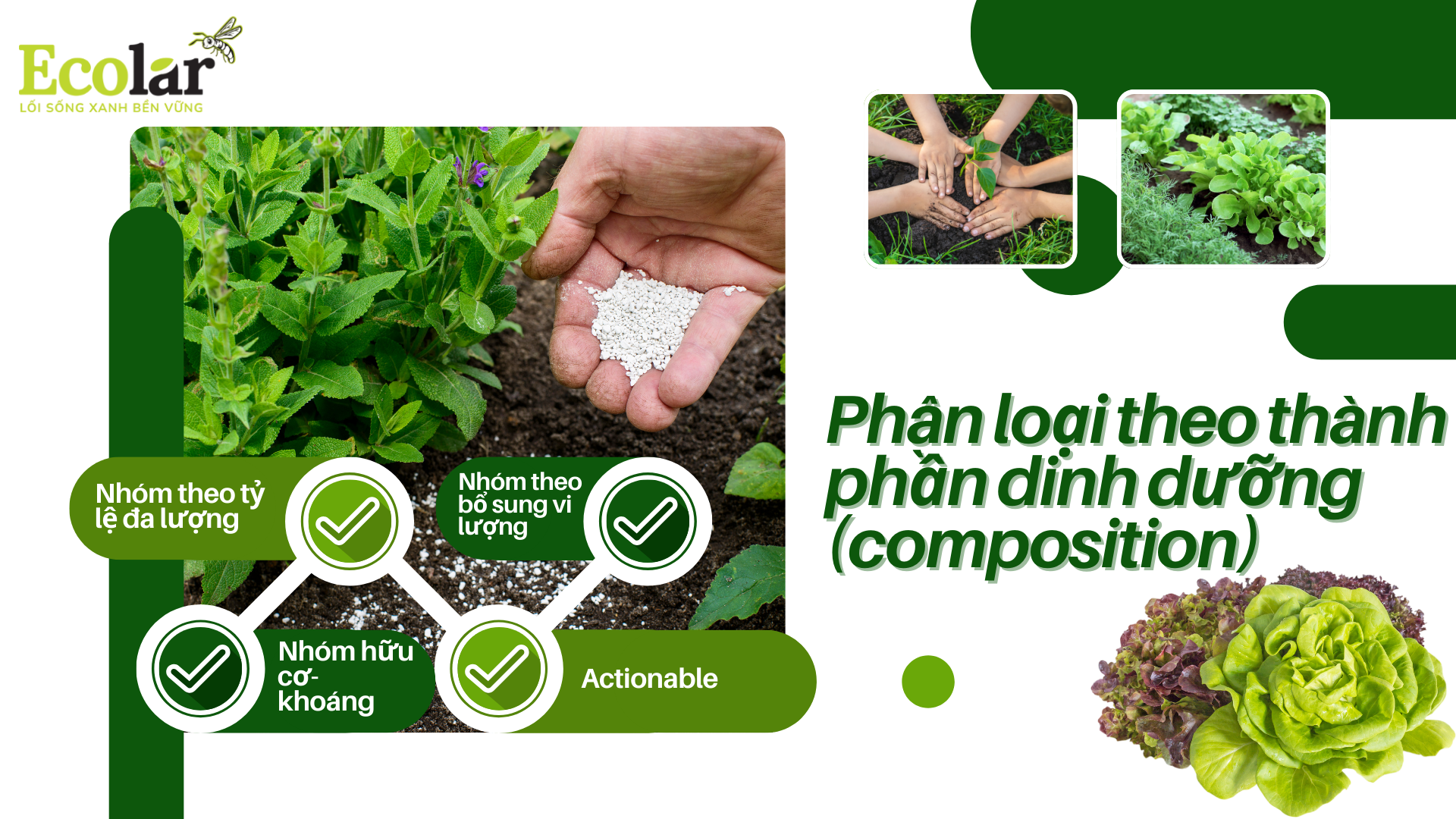 phân loại theo thành phần dinh dưỡng